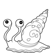 Sea snail coloring pages