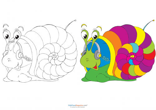 Match up coloring pages â snail