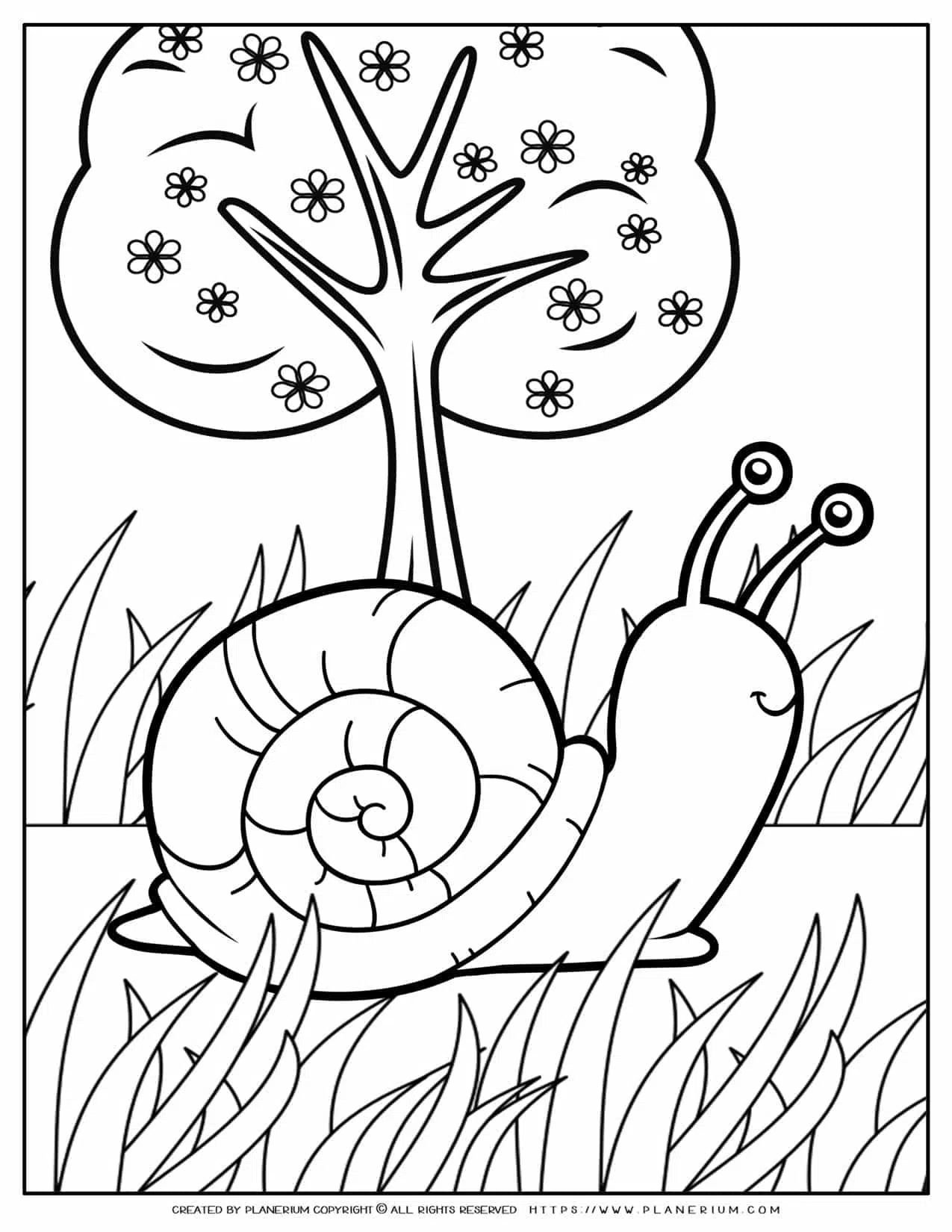 Animals coloring page