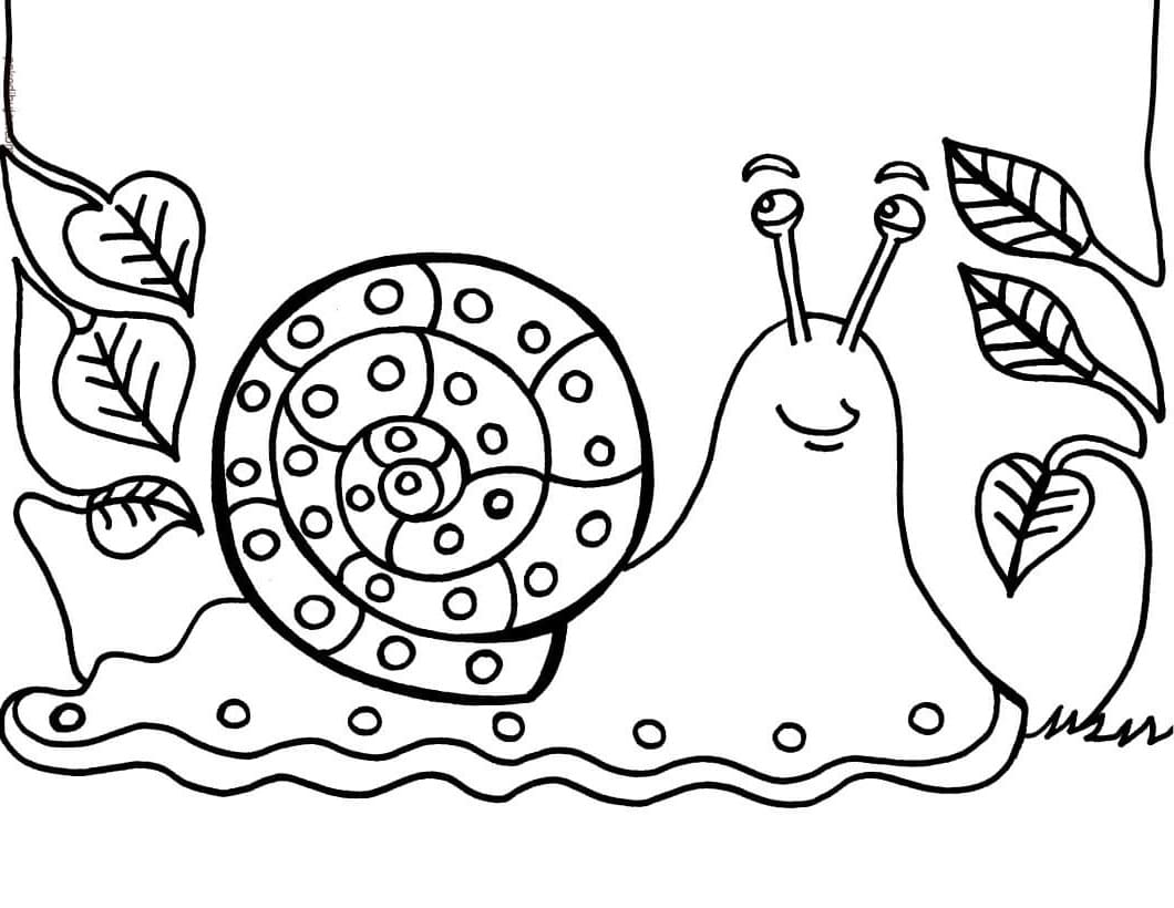 Print snail coloring page