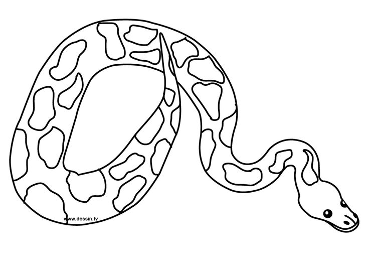 Free printable snake coloring pages for kids snake coloring pages coloring pages animal coloring pages