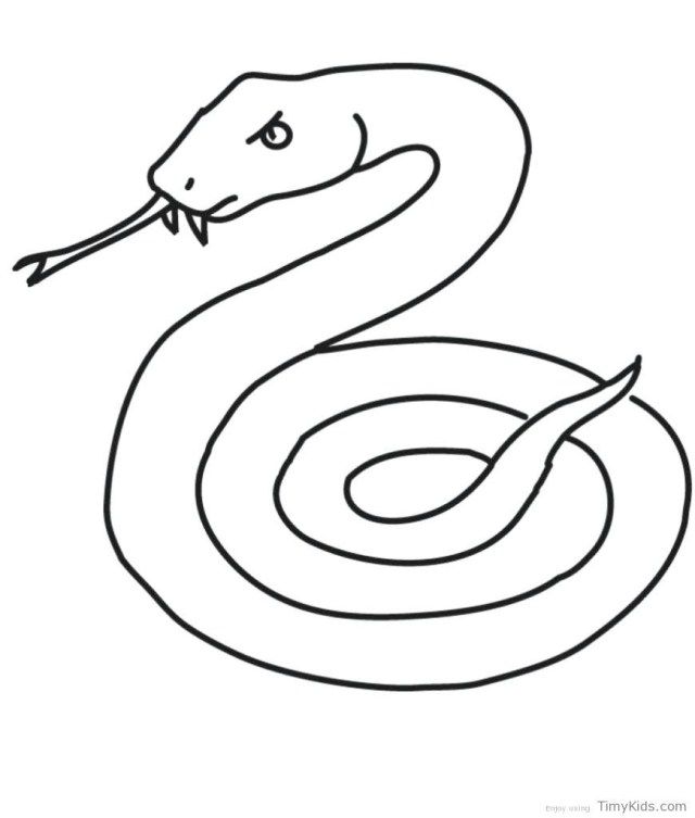 Beautiful snake coloring page