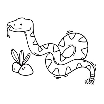 Snake coloring page images