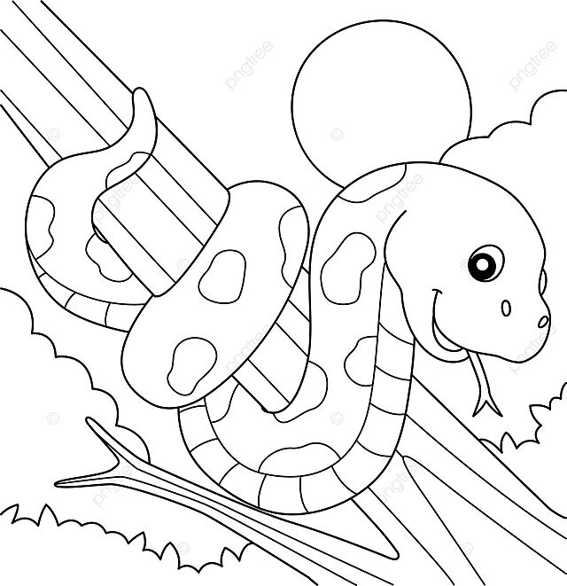 Snake animal coloring page for kids outline reptile python vector snake drawing animal drawing ring drawing png and vector with transparent background for free download