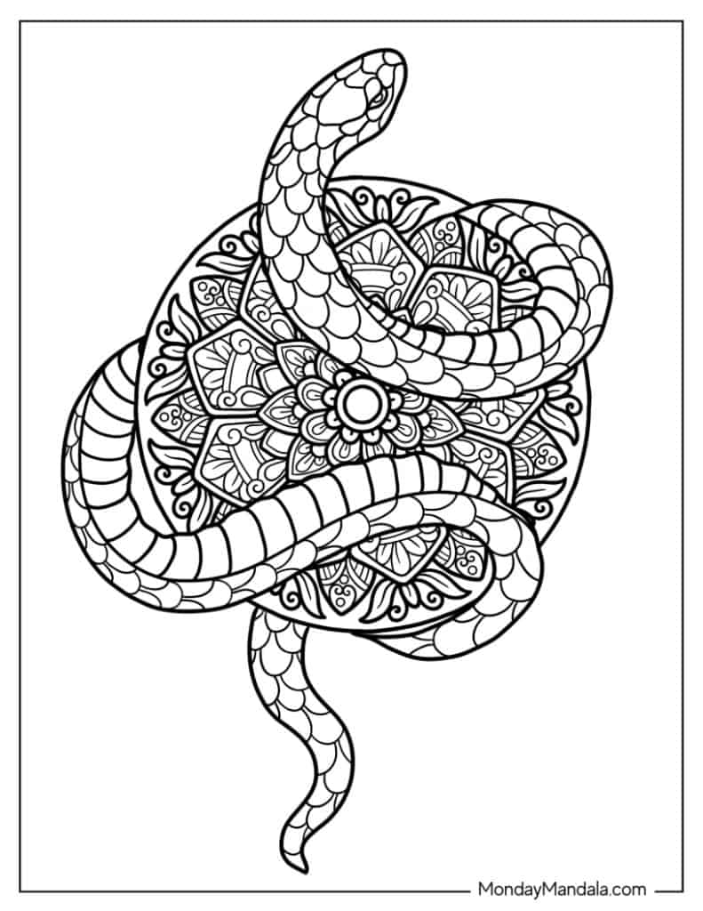 Snake coloring pages free pdf printables
