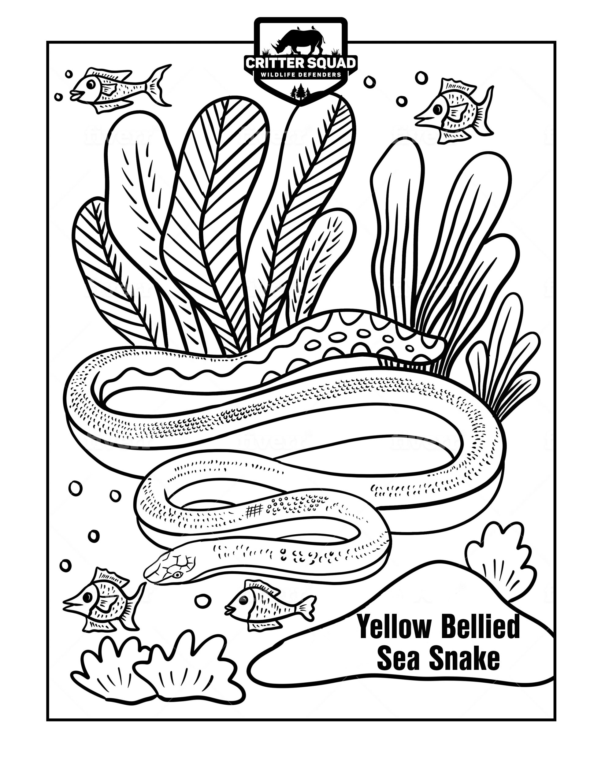 Yellow bellied sea snake coloring page