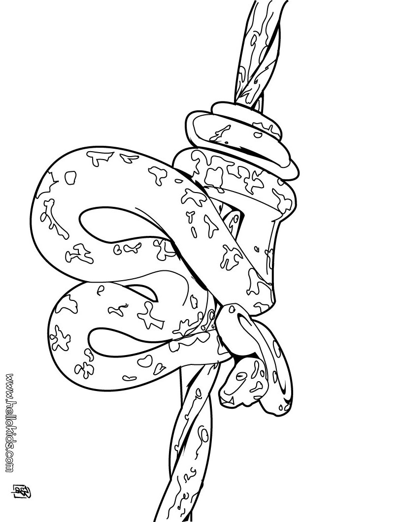 Amazonian tree boa coloring pages