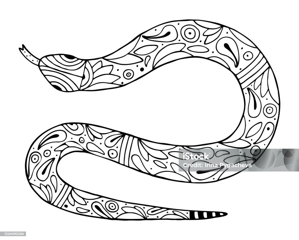 Hand drawn snake on a white isolated background coloring book for children and adults simple outline antistress drawing stock illustration