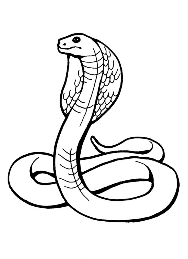 Free printable snake coloring pages for kids snake coloring pages snake drawing coloring pages