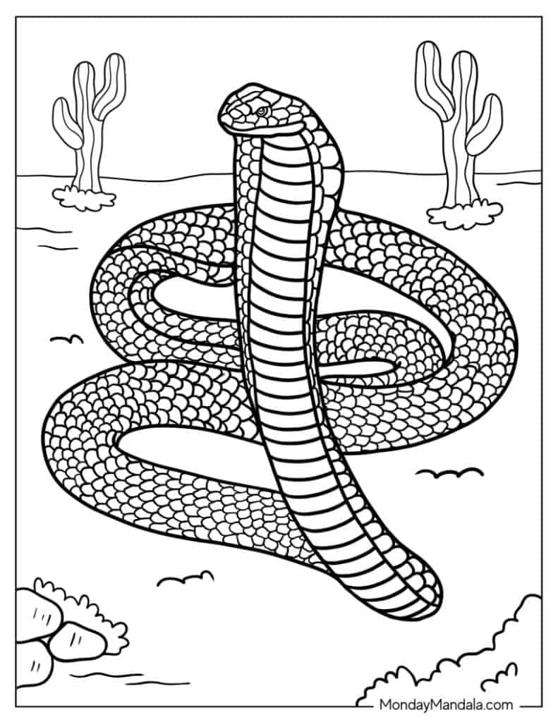 Snake coloring pages free pdf printables
