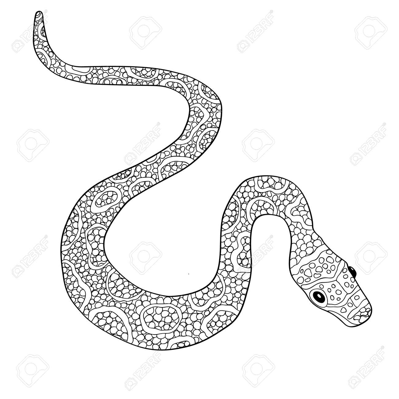 Hand drawn vector doodle outline snake decorated with ornamentsready for adult anti stress coloring book royalty free svg cliparts vectors and stock illustration image