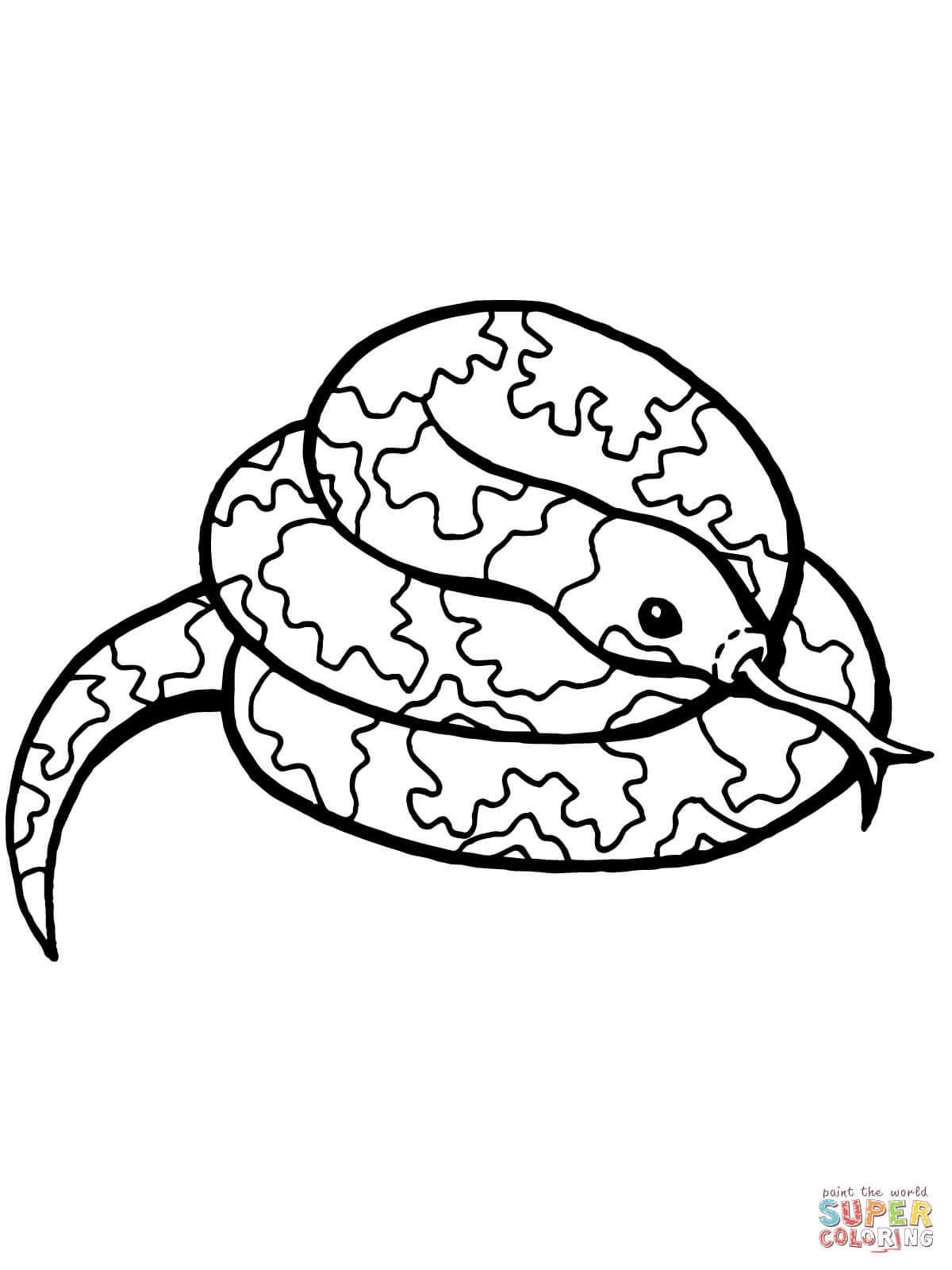 Coiled snake coloring page free printable coloring pages