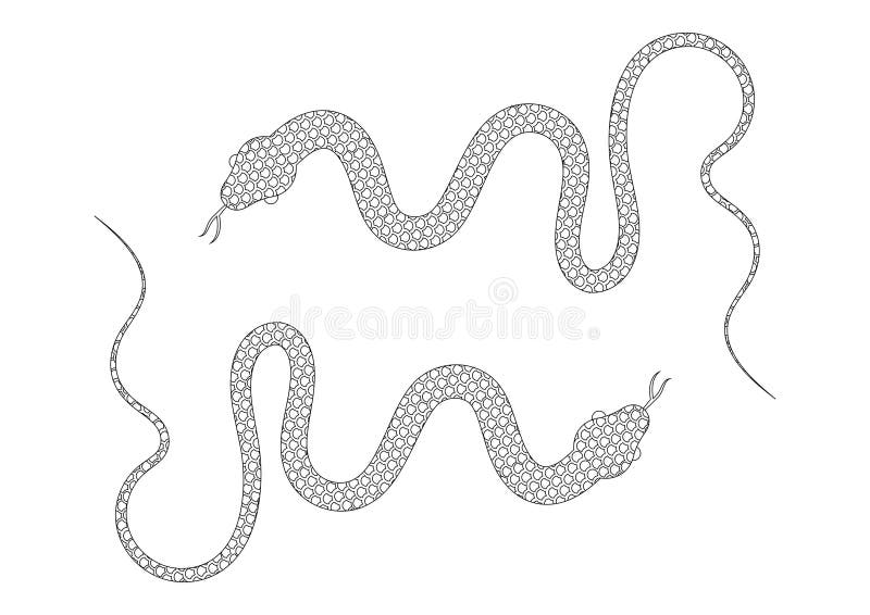 Snake colorless stock illustrations â snake colorless stock illustrations vectors clipart