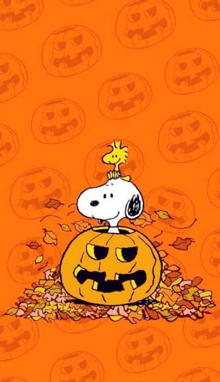 Download snoopy halloween wallpaper by zakum