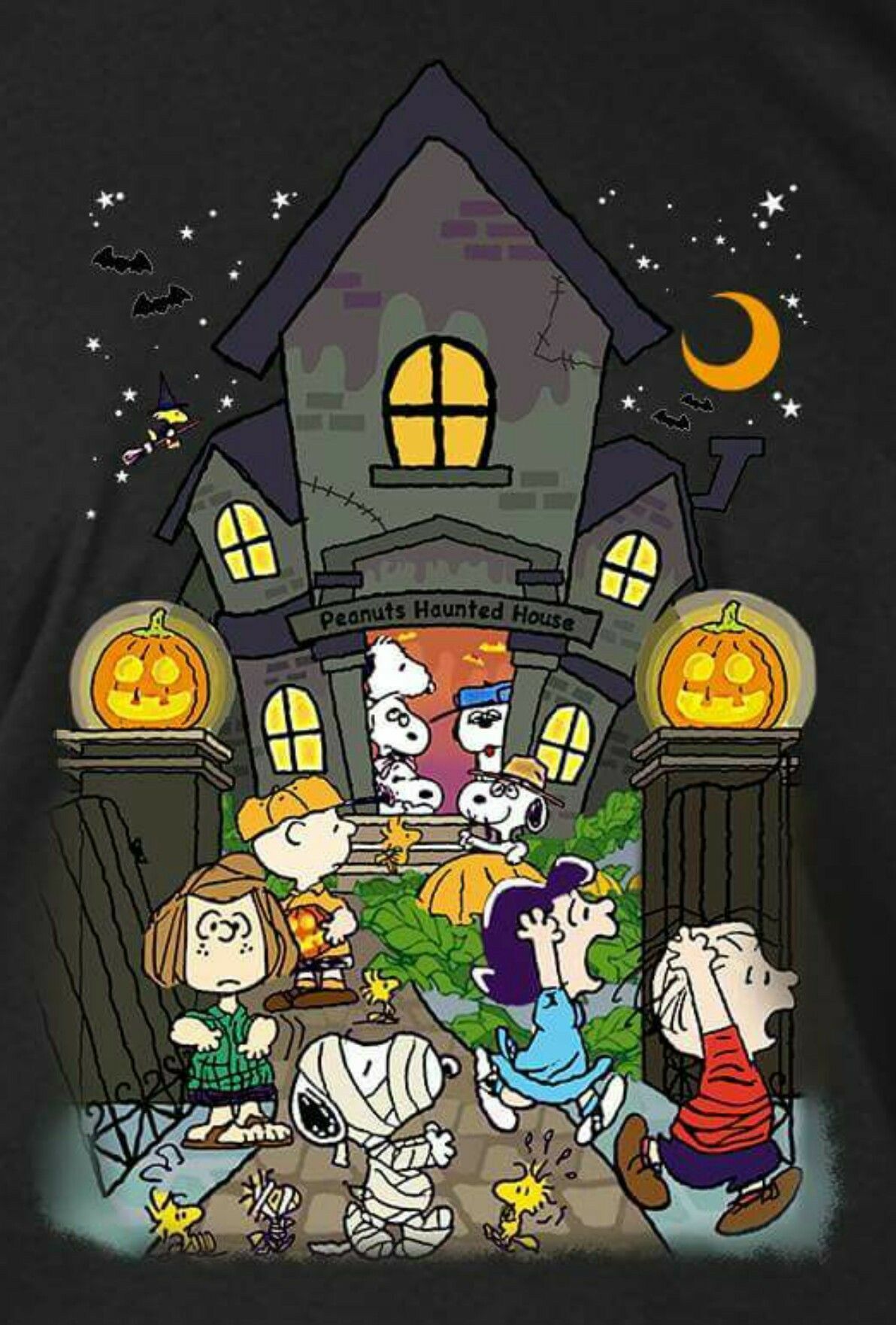 Peanuts halloween snoopy halloween snoopy wallpaper snoopy pictures