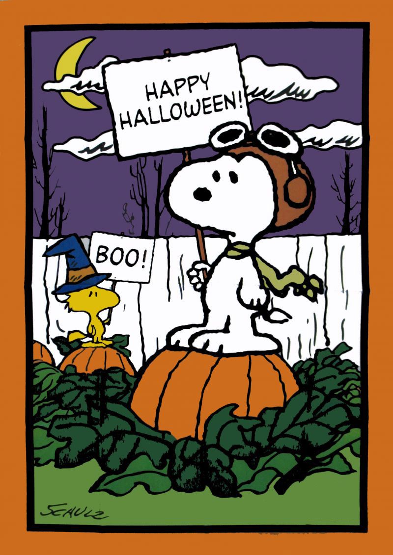 Snoopy halloween flag wallpaper