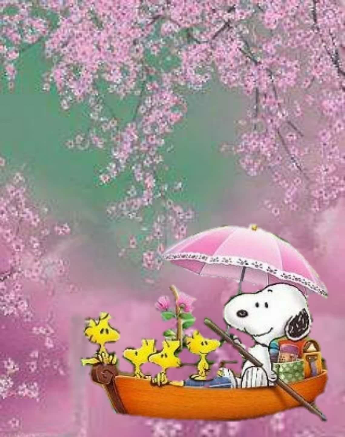 Hello springi have missed your green grass warm sunshine and beautiful flowers and i think to myself oh what aâ snoopy wallpaper snoopy pictures snoopy