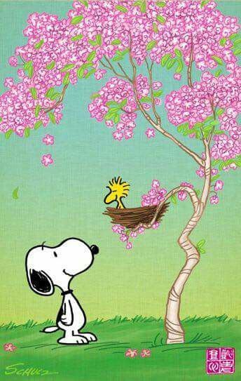 Spring snoopy wallpaper snoopy snoopy easter