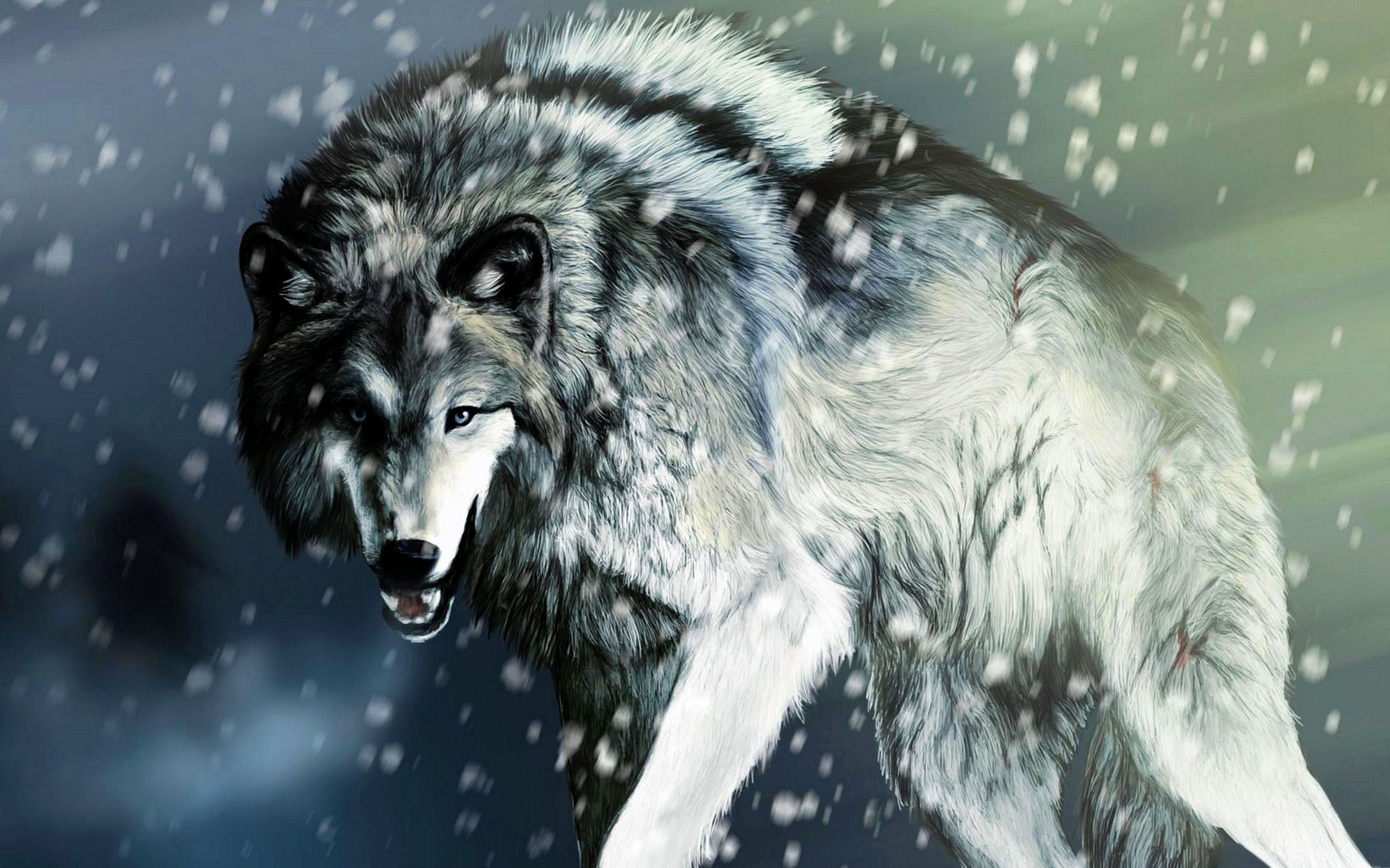 Best snow wolf wallpapers best snow wolf wallpapers snow wolf wolf background wolf wallpaper