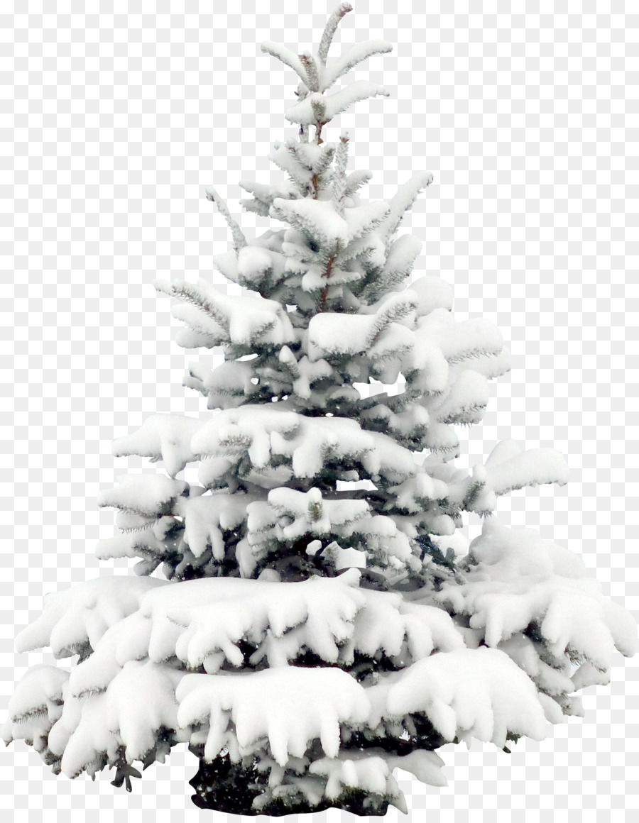 Download Free 100 + snow trees christmas Wallpapers