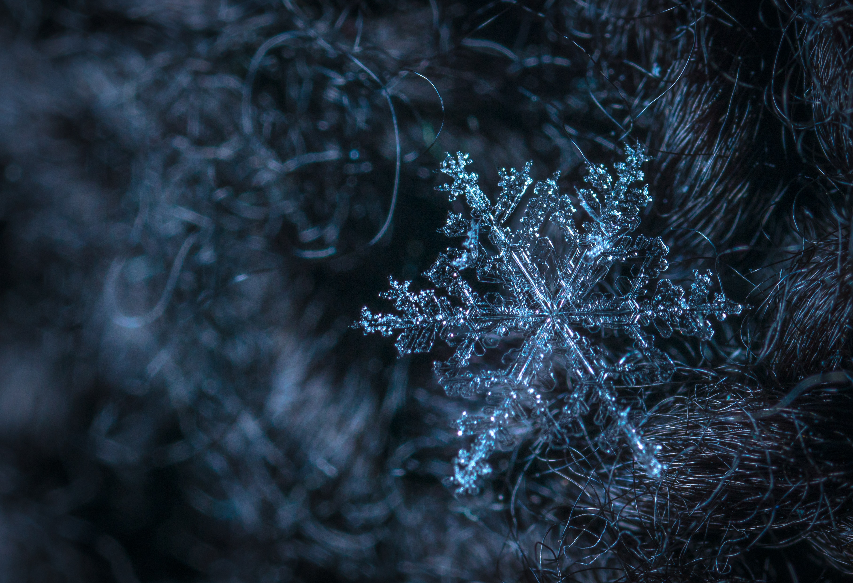 Snowflake photos download the best free snowflake stock photos hd images