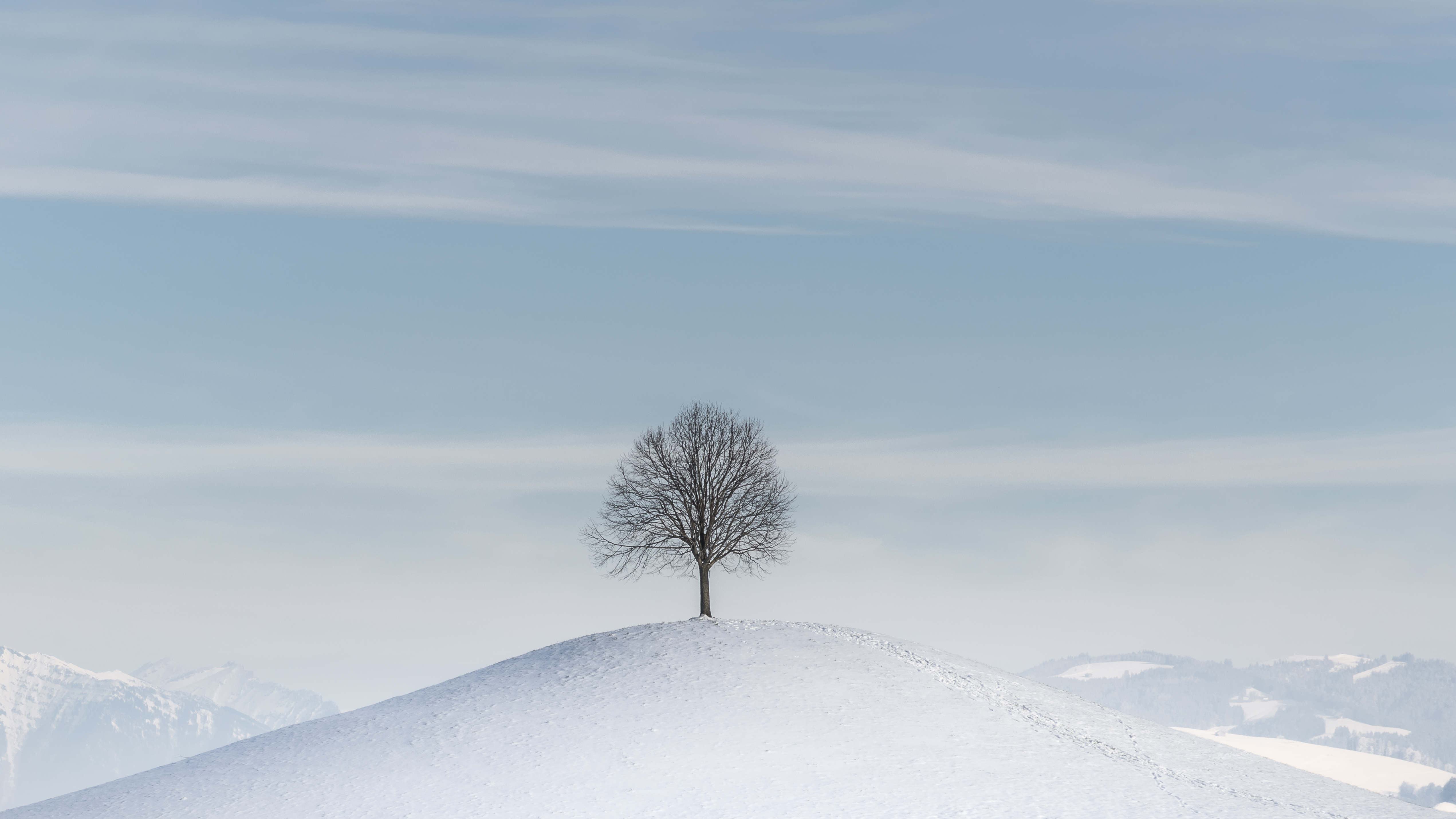 Ile winter snow wood hill tree minimalism download the picture for free