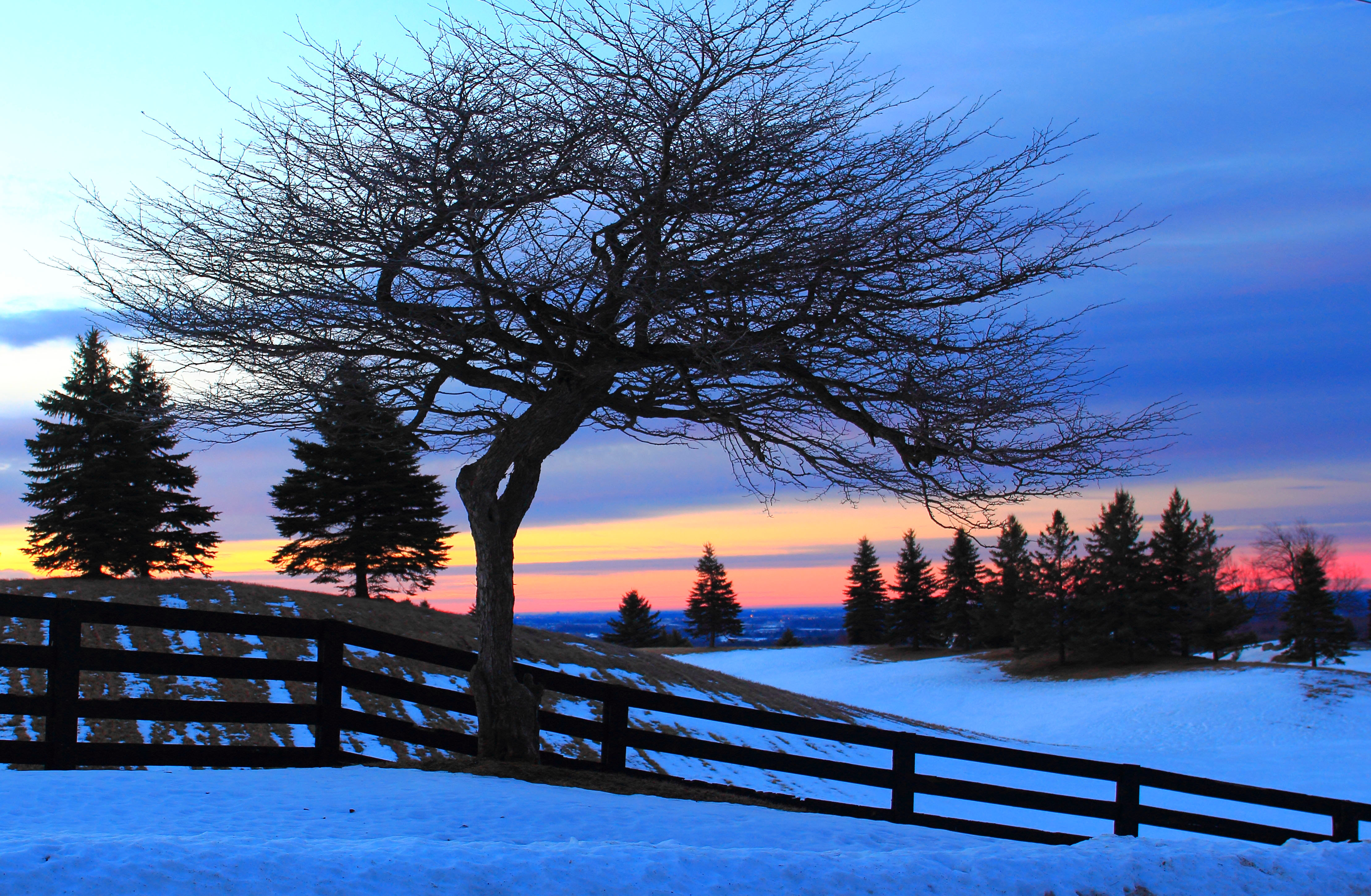 Wallpaper trees silhouettes winter snow hills sunlight dawn glow clouds outdoor farmland glowing x