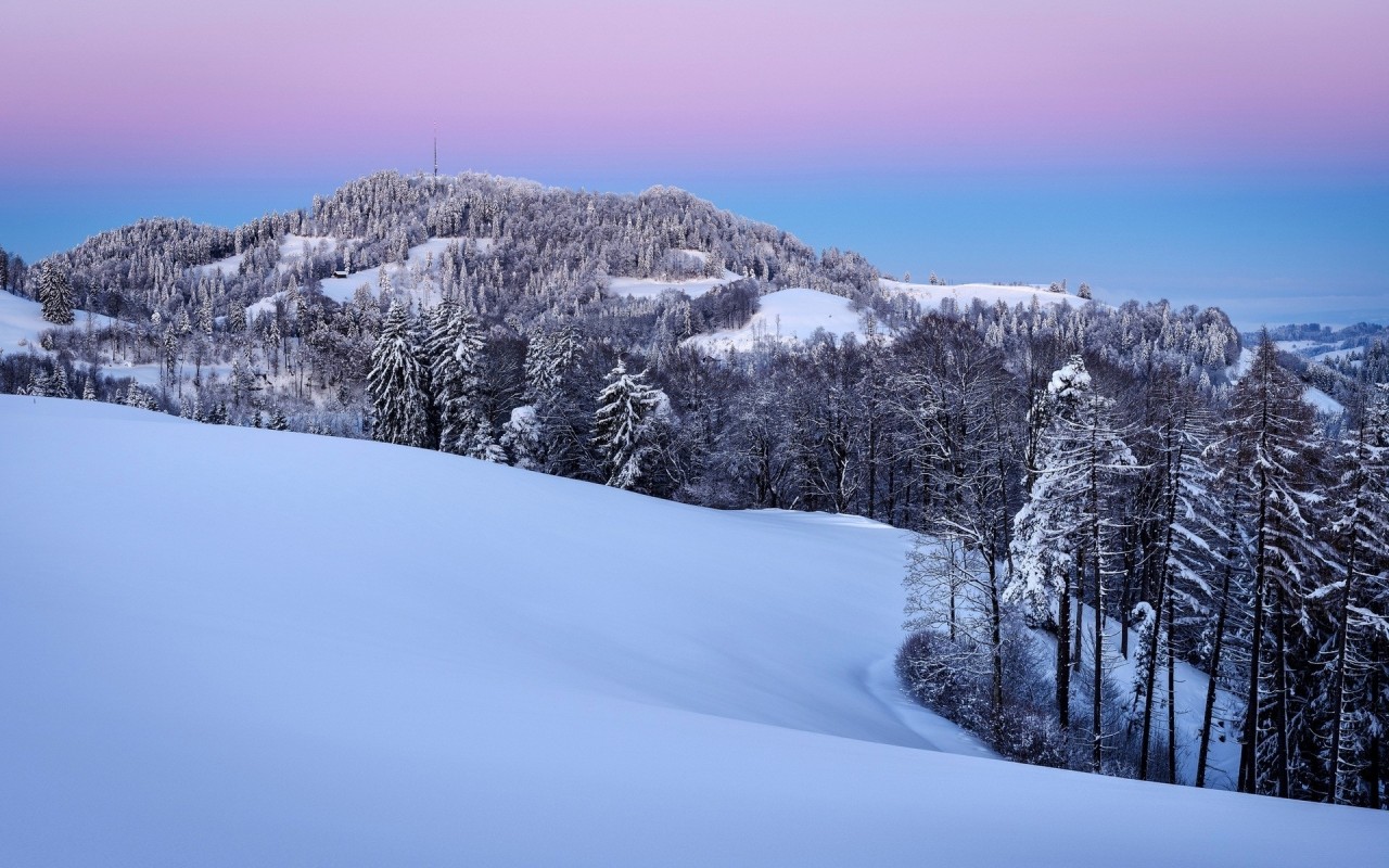 Snowy hill forest pink sky wallpapers snowy hill forest pink sky stock photos