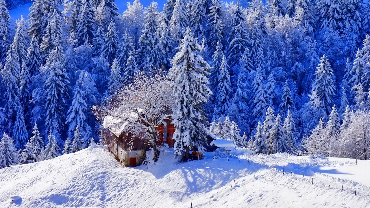 Wallpaper winter house hill snow trees hd picture image