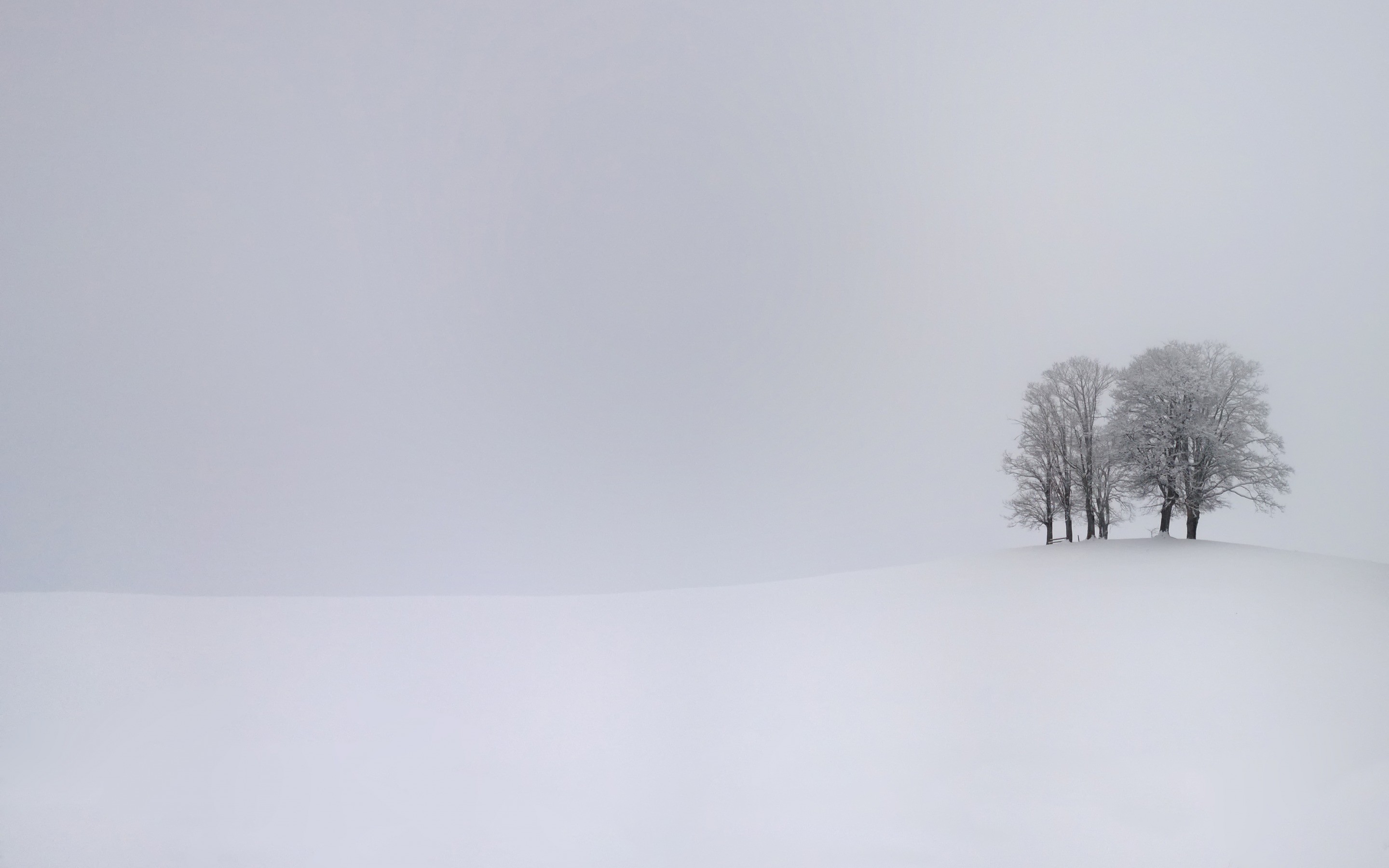 Winter branch landscape nature trees overcast white monochrome simple snow hills