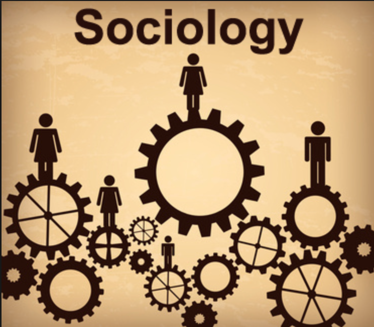 Cambridge international as level sociology