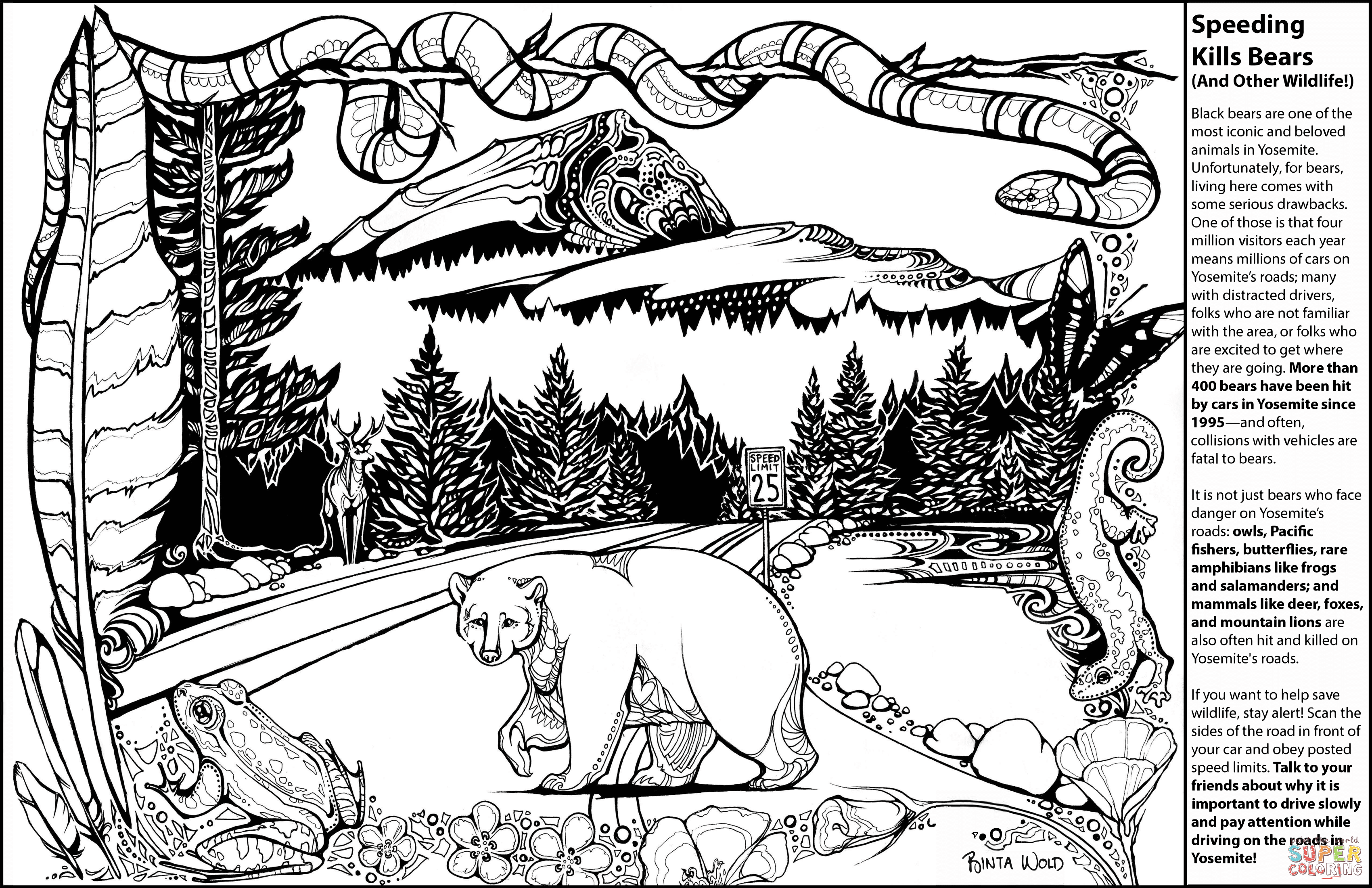 Speeding kills bears and other wildlife coloring page free printable coloring pages