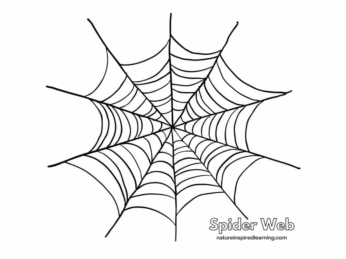 Spider web coloring pages