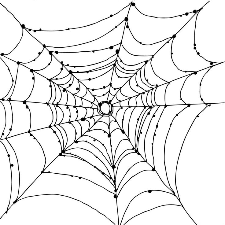 Free printable spider web coloring pages for kids spider web spider web drawing disney coloring pages