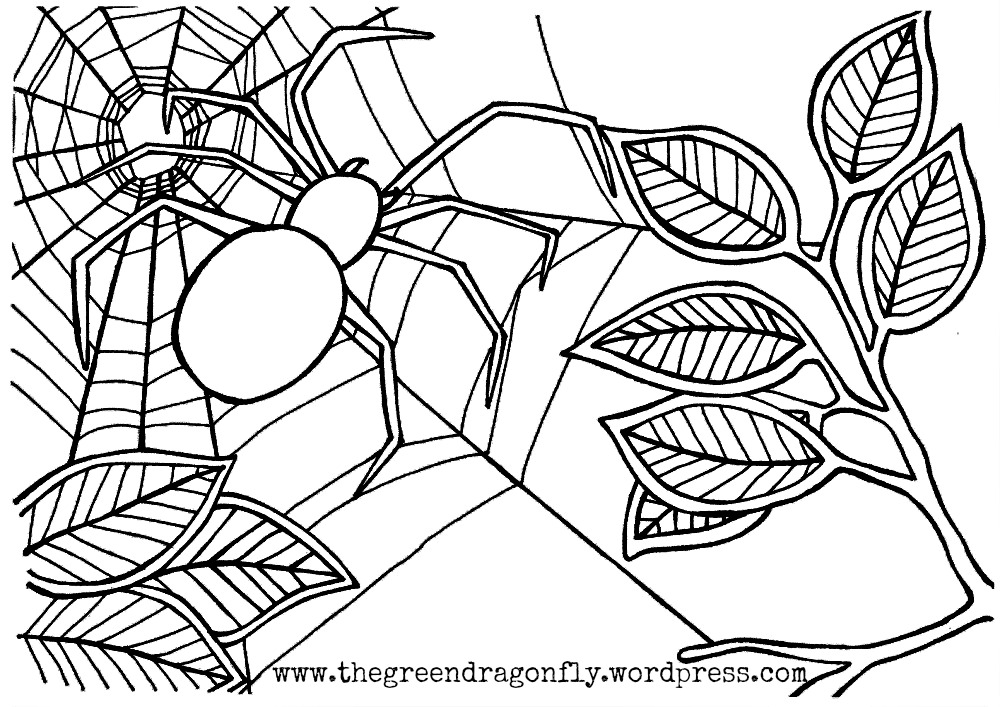 Coloring sheet â the green dragonfly