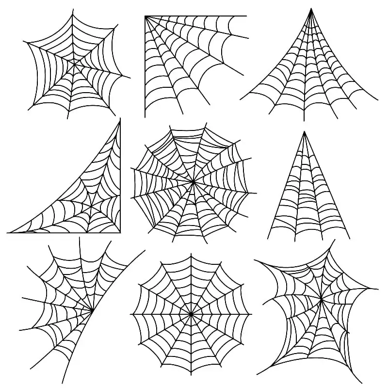 Spider web malvorlagen