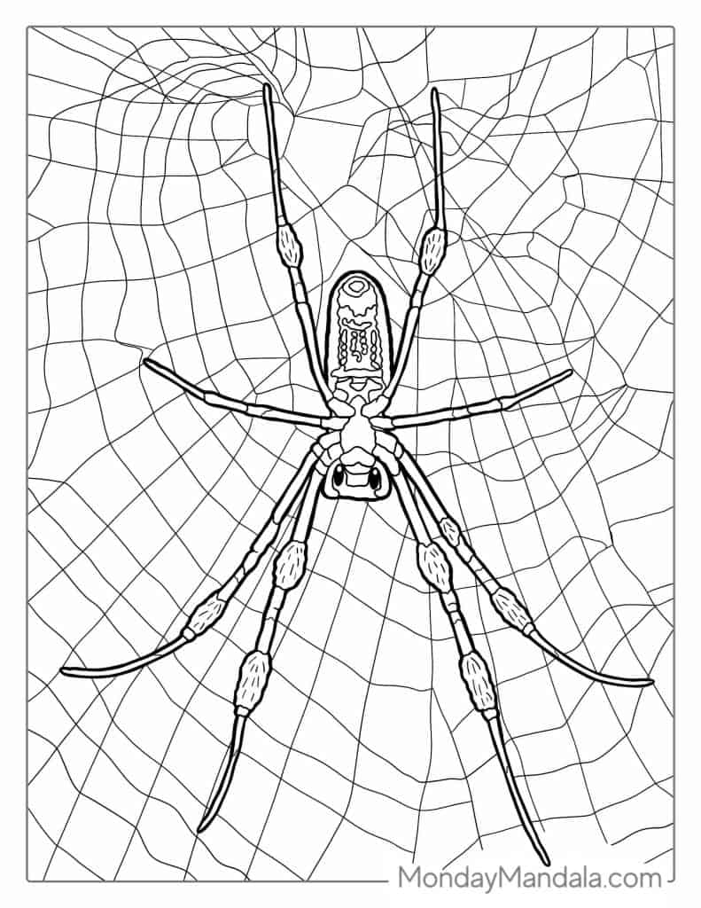 Spider coloring pages free pdf printables