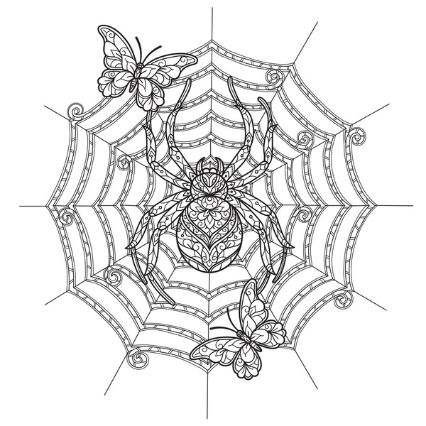 Adult coloring page spider images stock photos d objects vectors