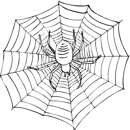 Printable spider web coloring pages