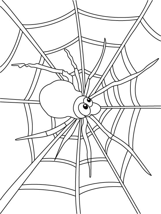 Spider web coloring pages download free spider web coloring pages for kids best coloring pages spider coloring page coloring pages animal coloring pages