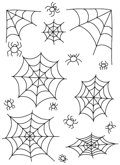 Premium vector vector doodle spider web and spiders set hand drawn doodle spider web illustration