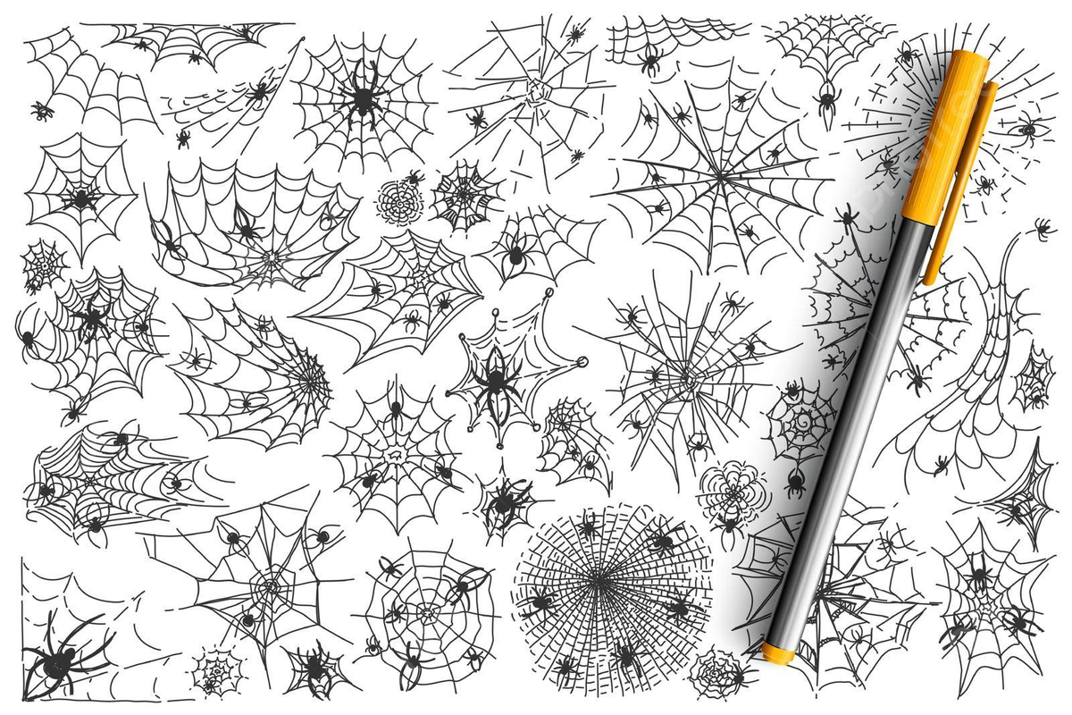 Spider web doodle set collection doodle insect template vector doodle insect template png and vector with transparent background for free download