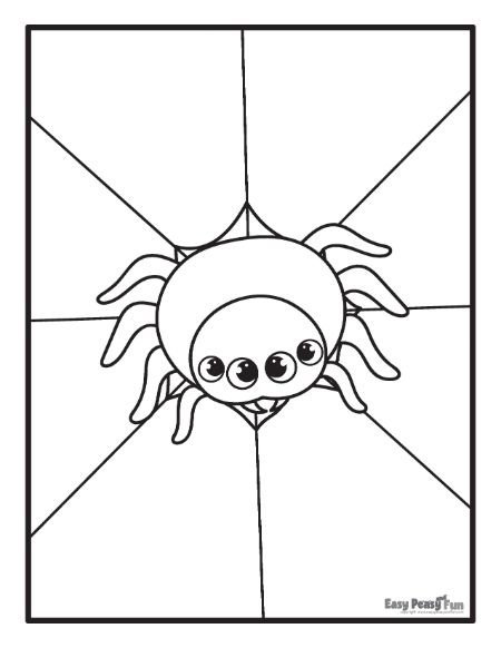 Printable spider coloring pages â sheets