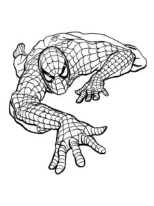 Spiderman coloring pages âï free coloring pages