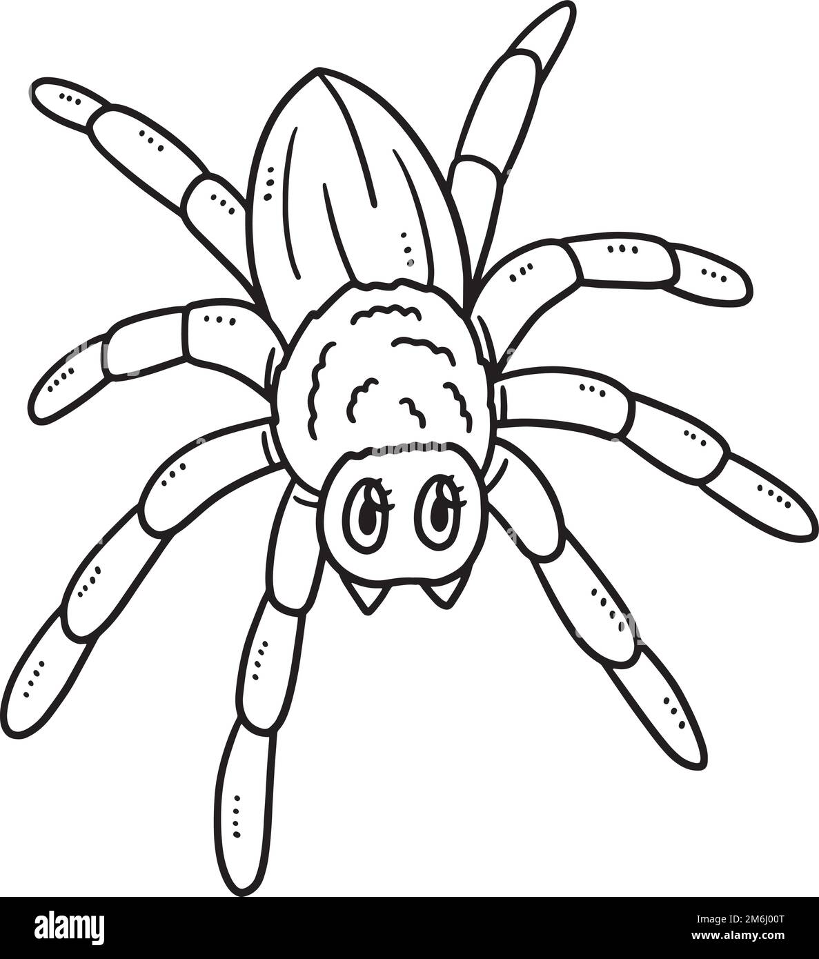 Spider drawing color cut out stock images pictures