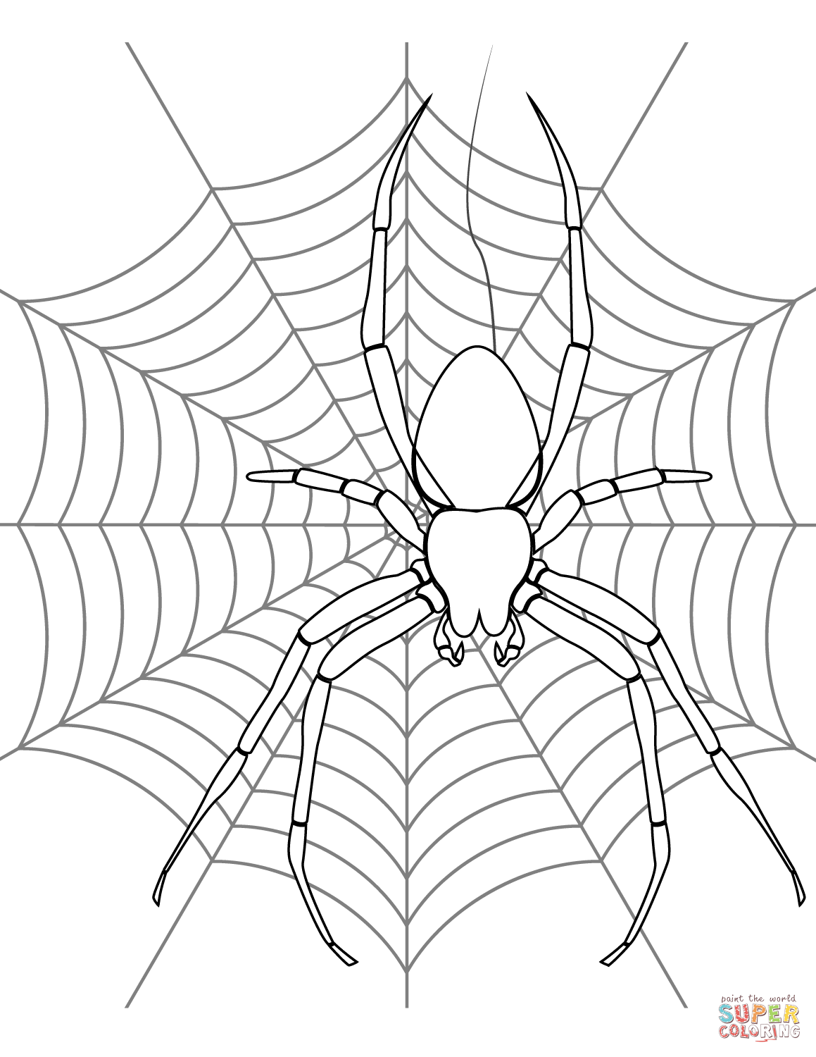 Spider on its web coloring page free printable coloring pages