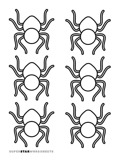 Spider template