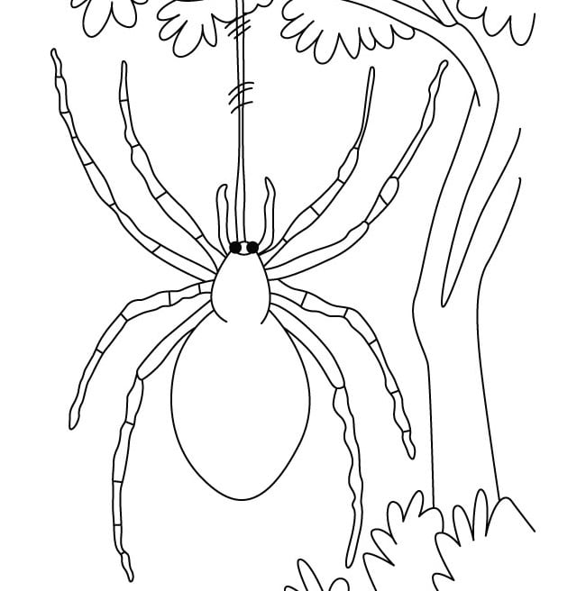 Free printable spider craft template
