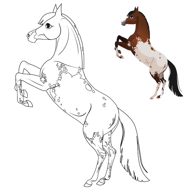 Premium vector coloring page for children with horse with a hint
