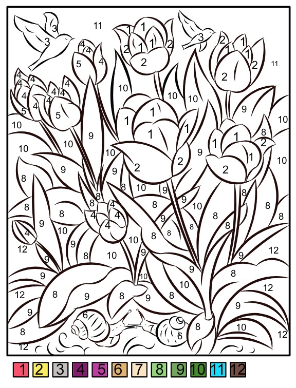 Nicoles free coloring pages color by numbers